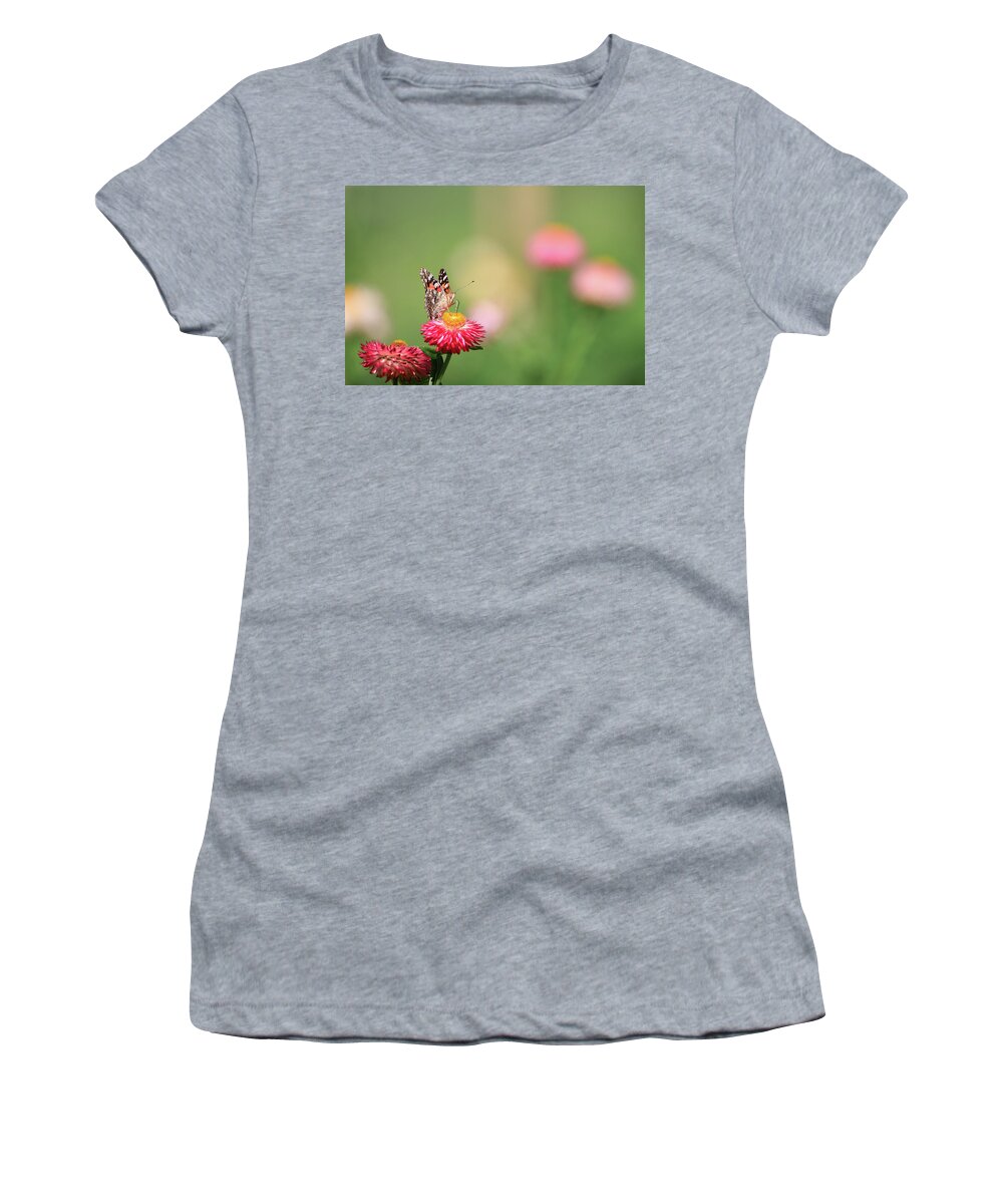 Flower Flowers Botany Butterfly Butterflies Botanic Botanical Garden Gardening Outside Outdoors Natural Nature Ma Mass Massachusetts Newengland New England U.s.a. Usa Brian Hale Brianhalephoto Women's T-Shirt featuring the photograph Simple Butterfly by Brian Hale