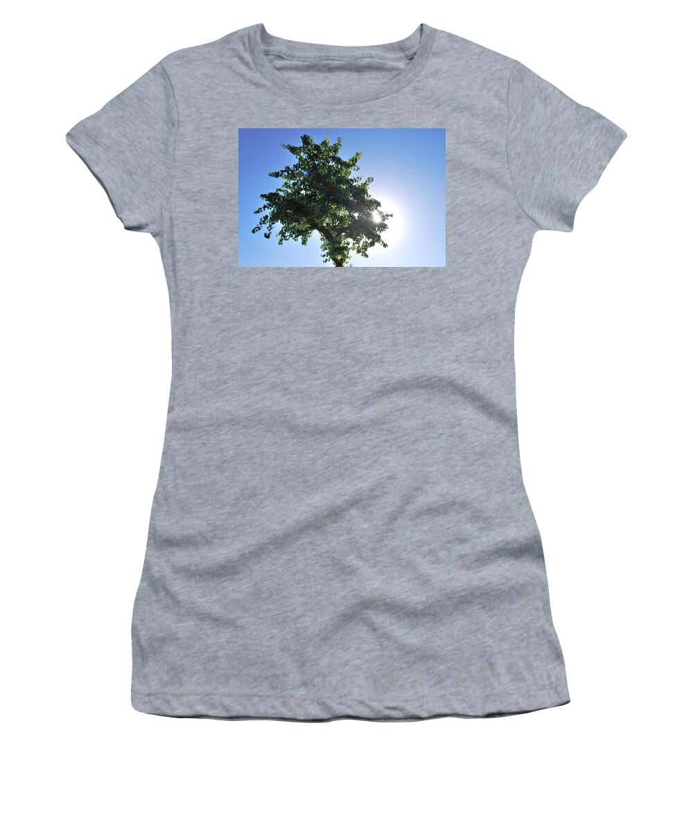 Tree Women's T-Shirt featuring the photograph Single Tree - Sun and Blue Sky by Matt Quest