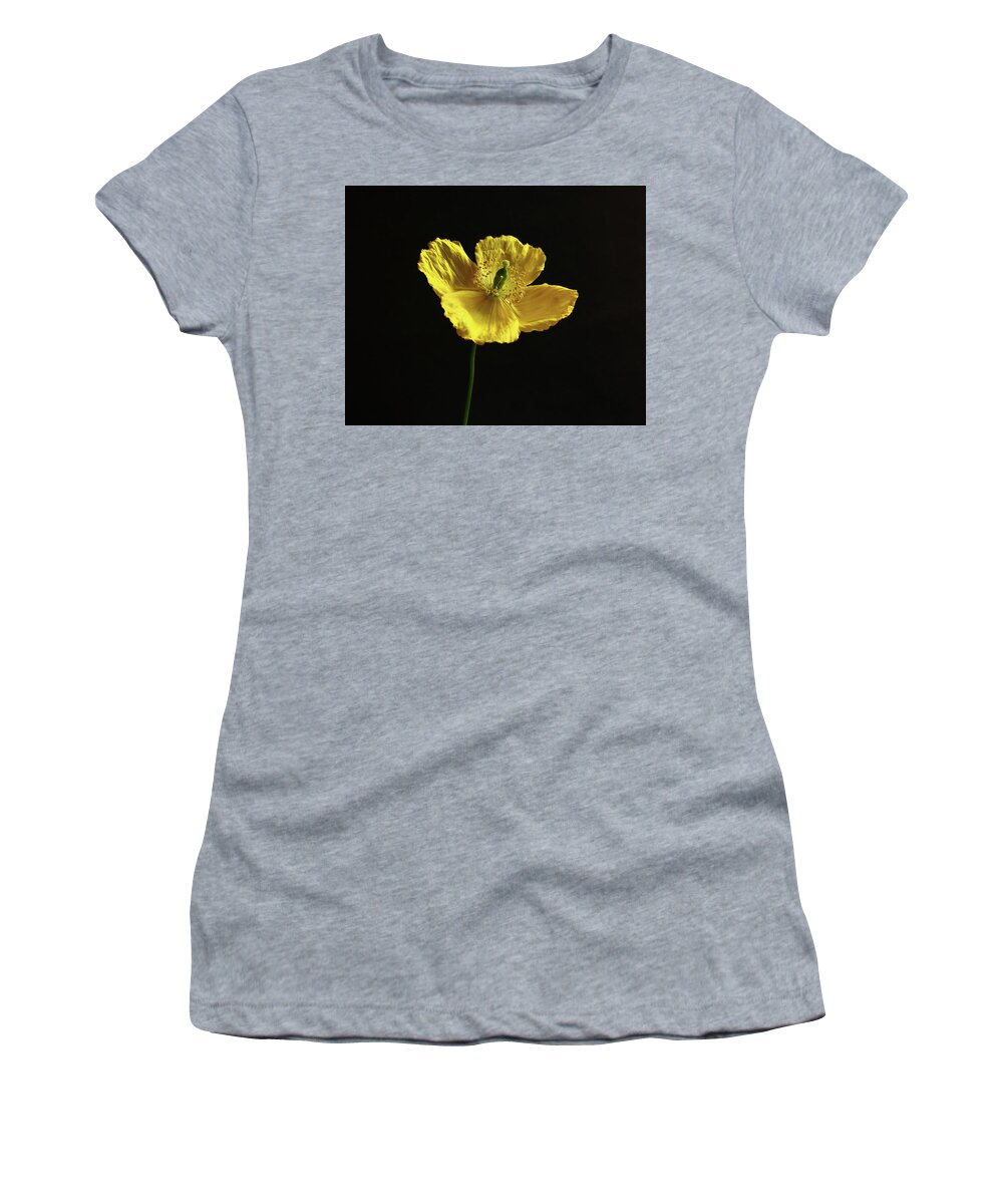 Welsh Women's T-Shirt featuring the photograph Single Welsh Poppy by Jeff Townsend