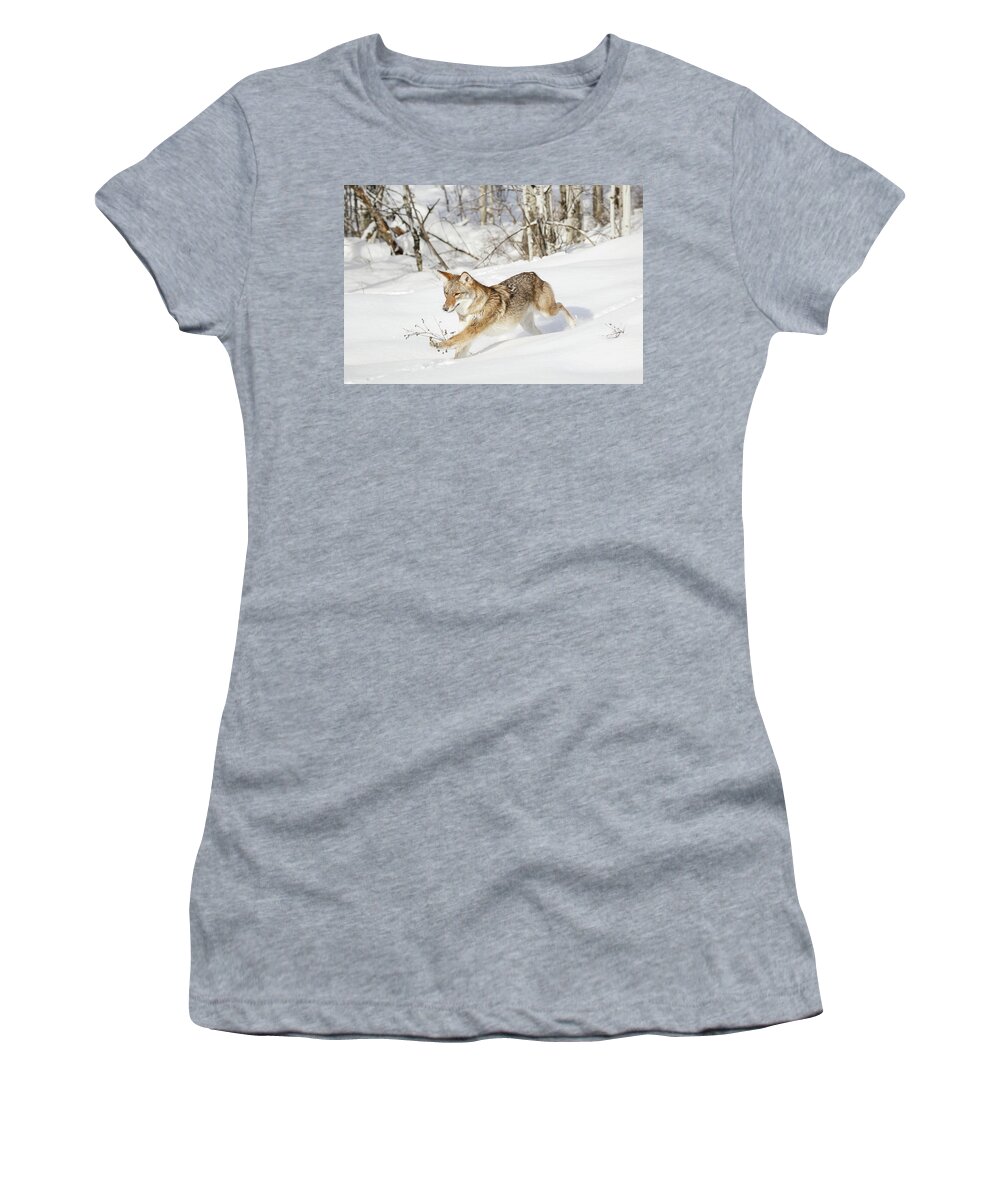 Coyote Women's T-Shirt featuring the photograph Skiing Down The Mountain by Athena Mckinzie