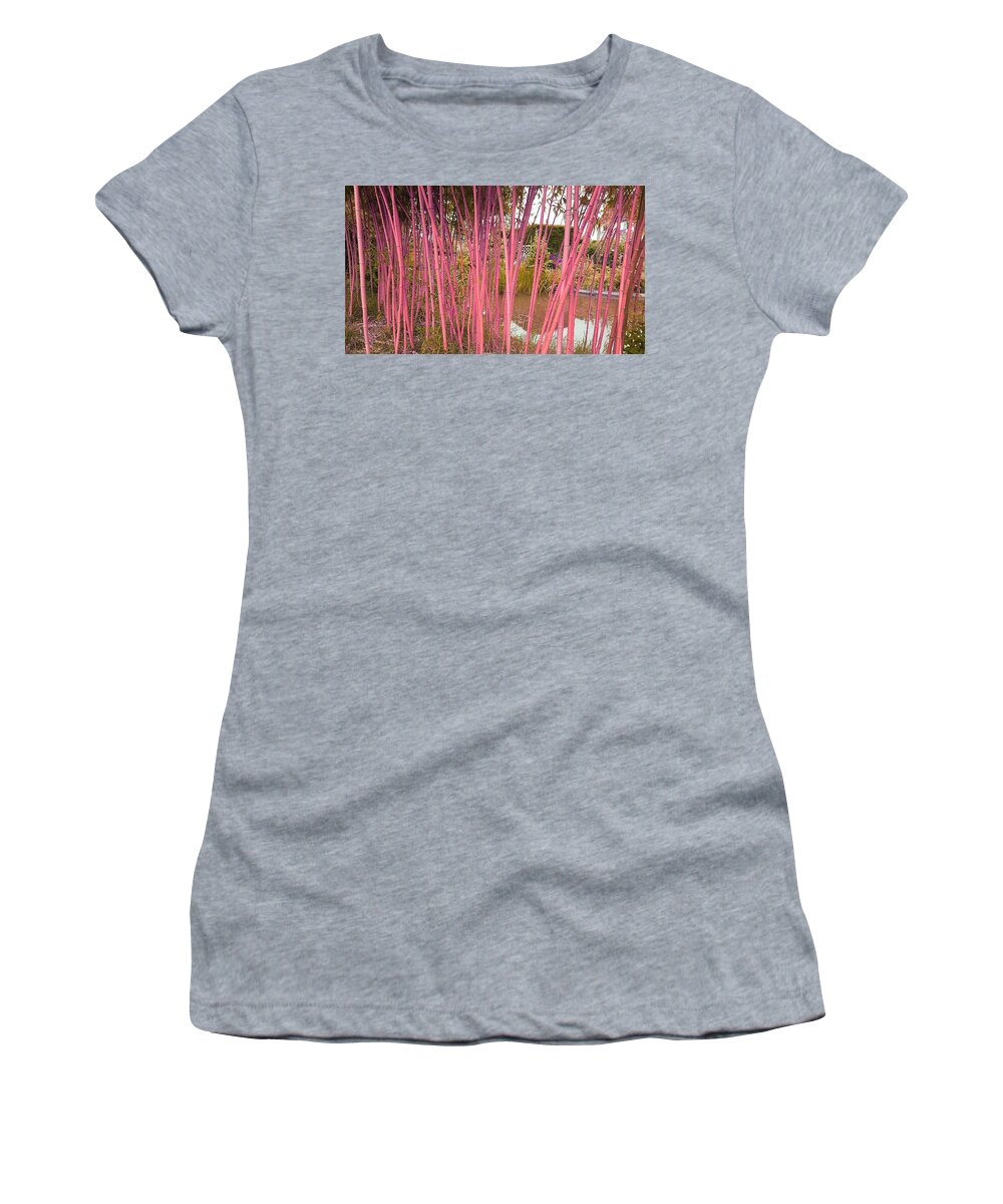Fantasy Women's T-Shirt featuring the photograph Skinny Bamboo In Amber Blush by Rowena Tutty