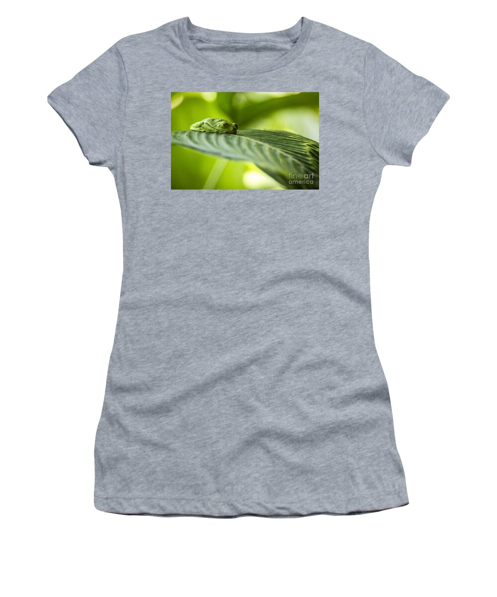 Tree Frog Women's T-Shirt featuring the photograph Sleeeepy by Joann Long