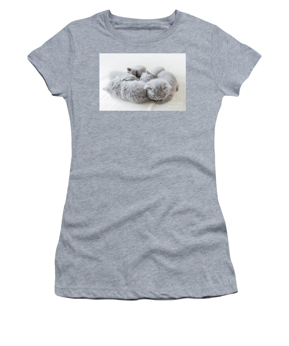 Pet Women's T-Shirt featuring the photograph Sleeping little cats in a group. British shorthair. by Michal Bednarek