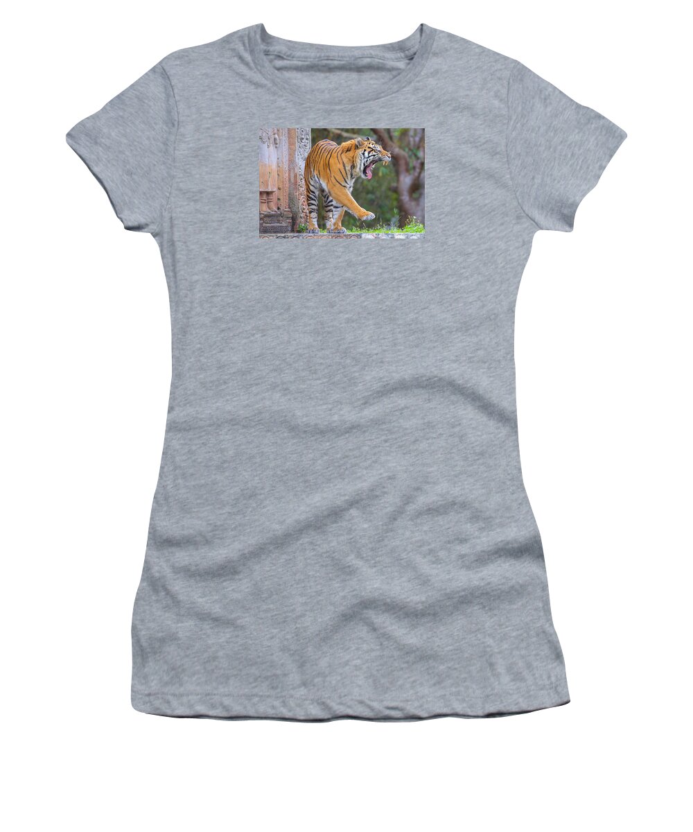 Tiger Women's T-Shirt featuring the photograph Sleepy Tiger by Dart Humeston