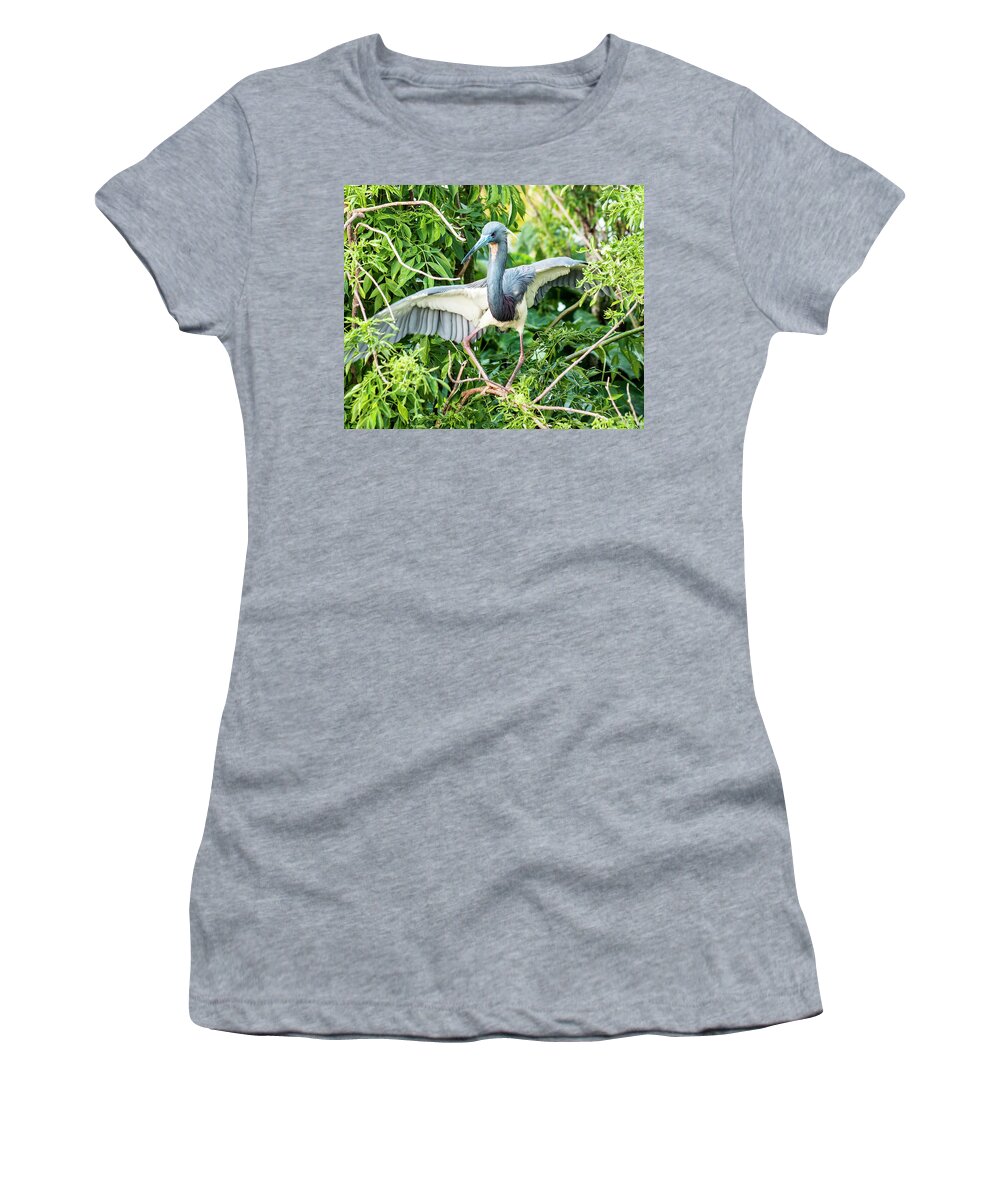 Tricolored Heron Women's T-Shirt featuring the photograph Slight Stumble by Norman Johnson