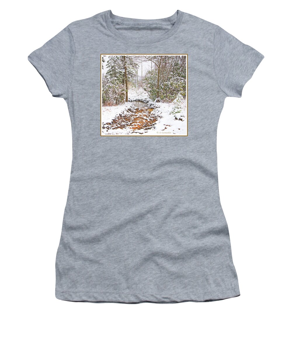 Stream Women's T-Shirt featuring the photograph Small Mountain Stream in Winter by A Macarthur Gurmankin