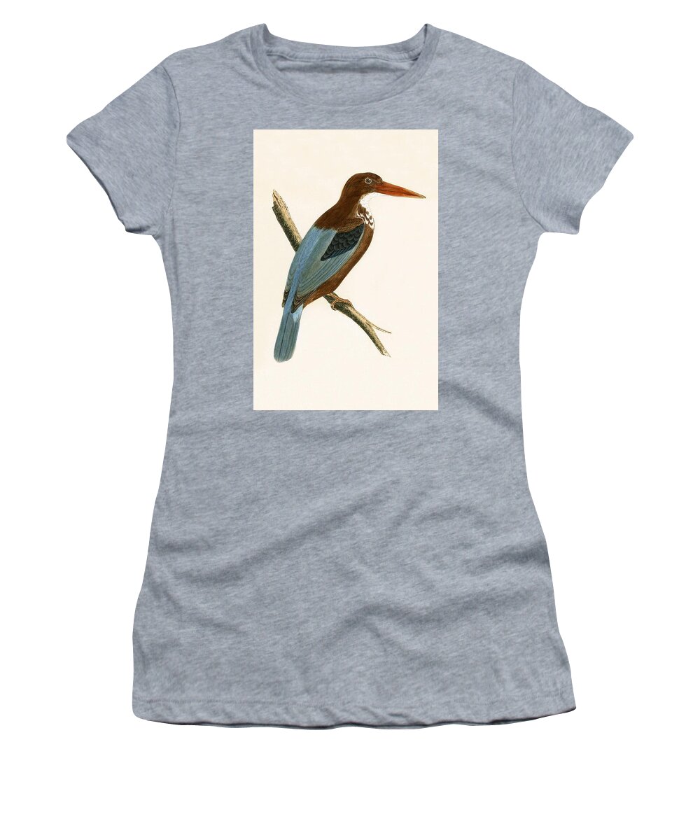 Smyrna Kingfisher Women's T-Shirt featuring the painting Smyrna Kingfisher by English School