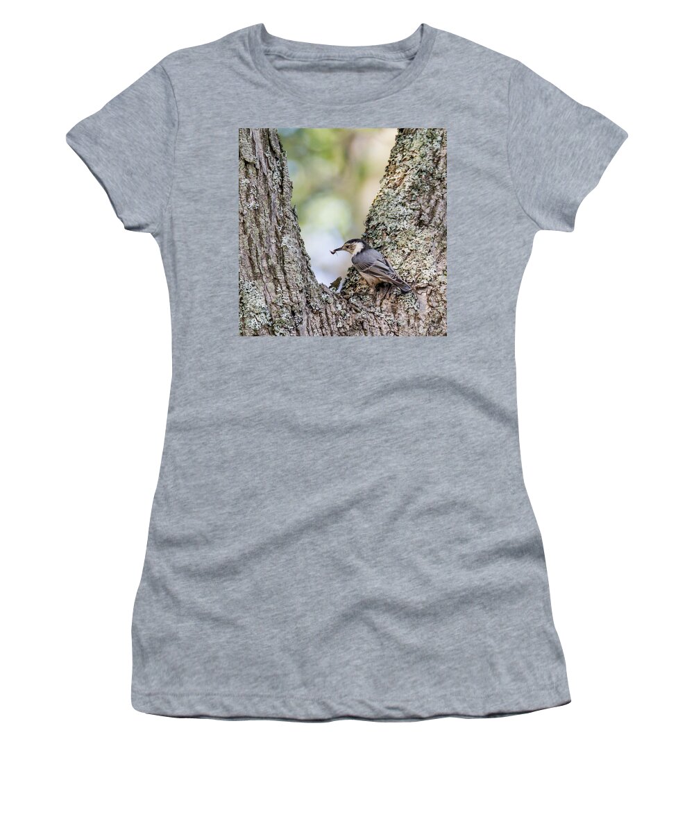Nuthatch Women's T-Shirt featuring the photograph Snack Time by Darryl Hendricks