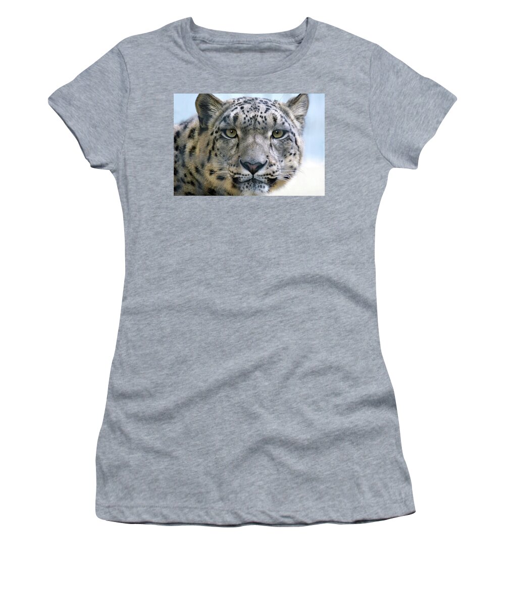 Animal Women's T-Shirt featuring the photograph Snow Leopard by Dan Holm