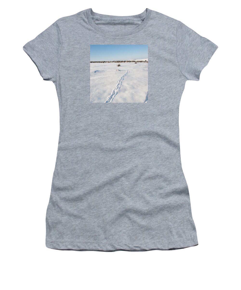 Winter Women's T-Shirt featuring the photograph Snow Tracks by Helen Jackson
