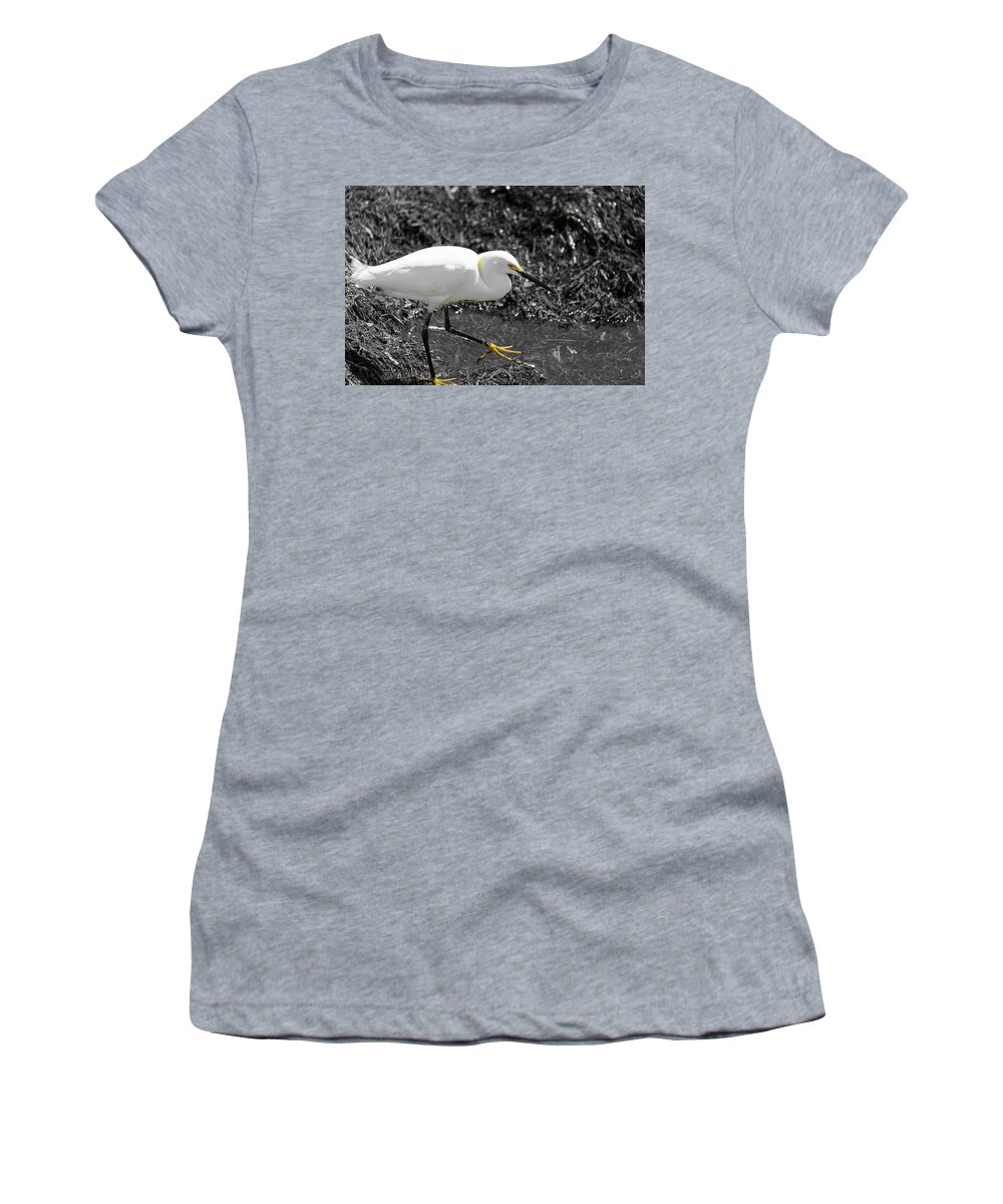 White And Yellow Bird Women's T-Shirt featuring the photograph Snowy Egret by Doug Camara
