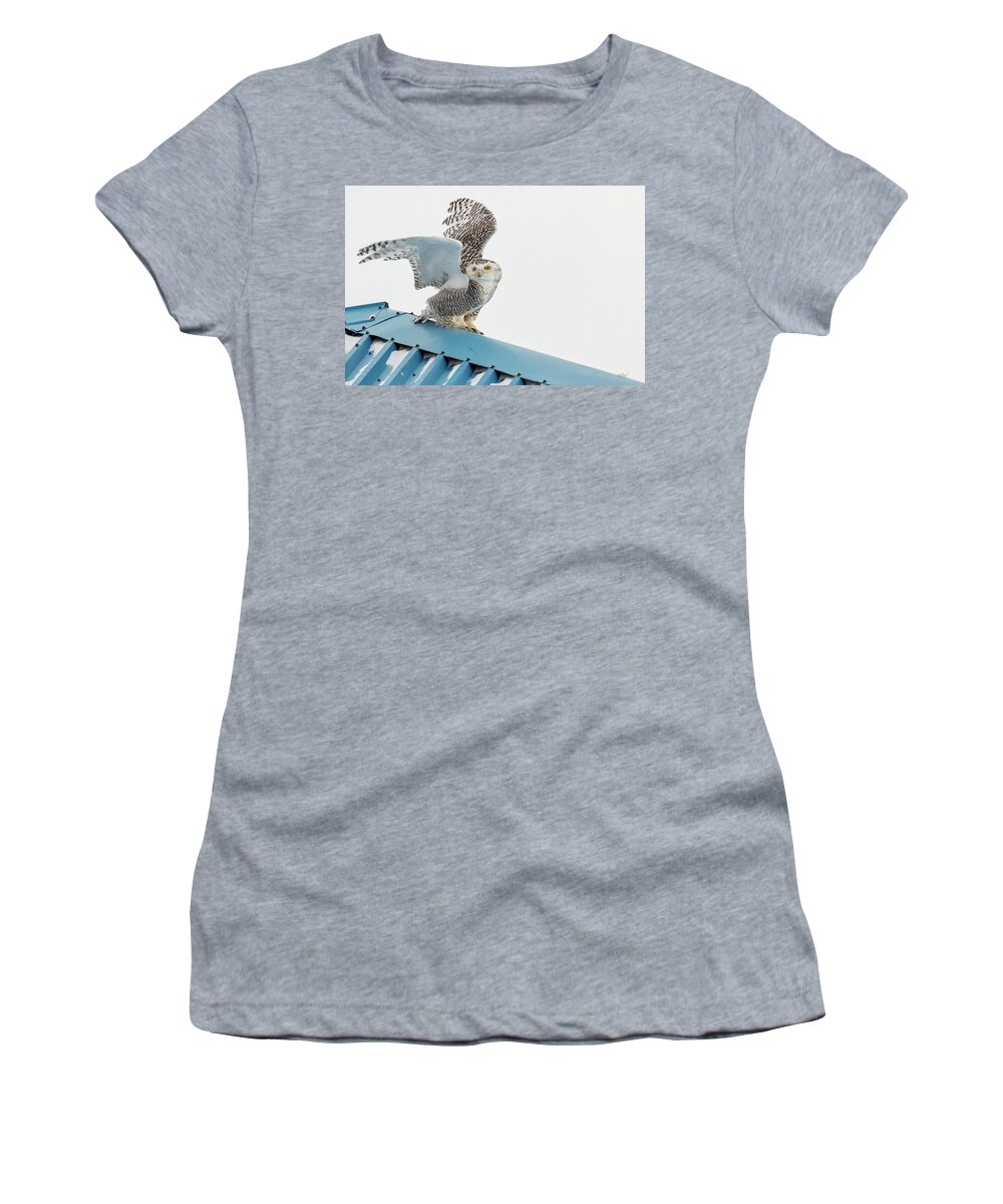 Owl Women's T-Shirt featuring the photograph Snowy Model Ambition by Everet Regal