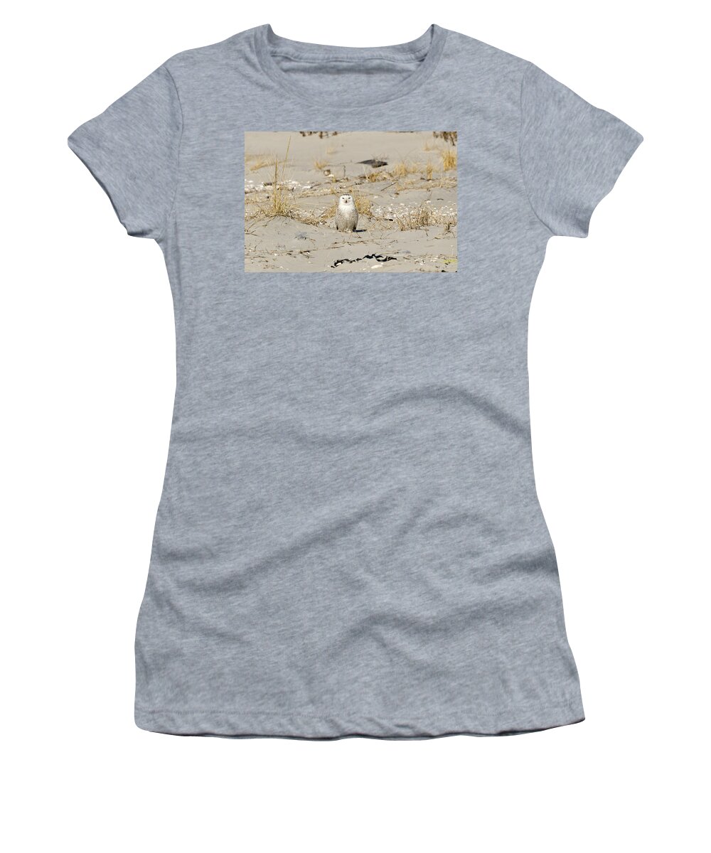 Snowy Owl Women's T-Shirt featuring the photograph Snowy Owl Breezy Point by Maureen E Ritter