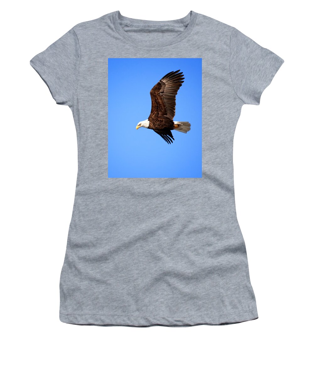 Bald Eagle Women's T-Shirt featuring the photograph Soaring Bald Eagle by Al Mueller