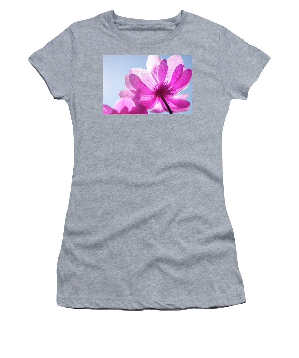 Poppy Women's T-Shirt featuring the photograph Soft Poppy by Kathy Paynter