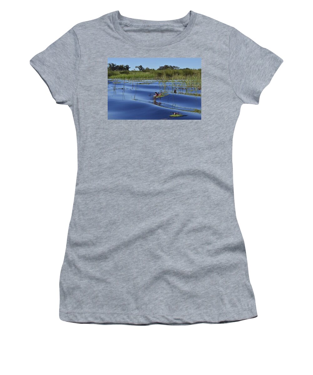 Okavango Delta Women's T-Shirt featuring the photograph Solitude in the Okavango by Don Mercer