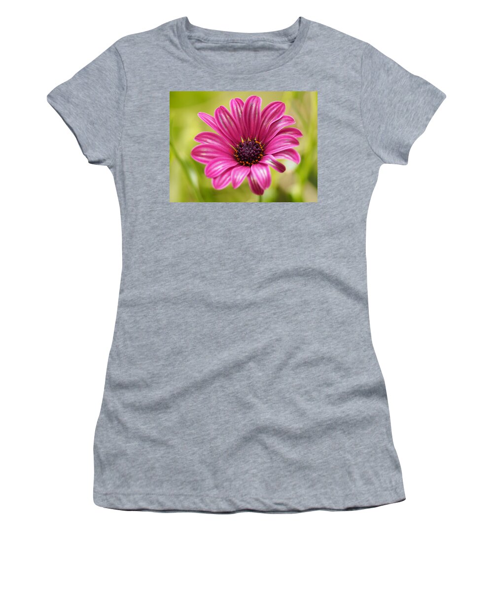 Flowers Women's T-Shirt featuring the photograph Soprano On a Brilliant Spring Day 4 by Dorothy Lee