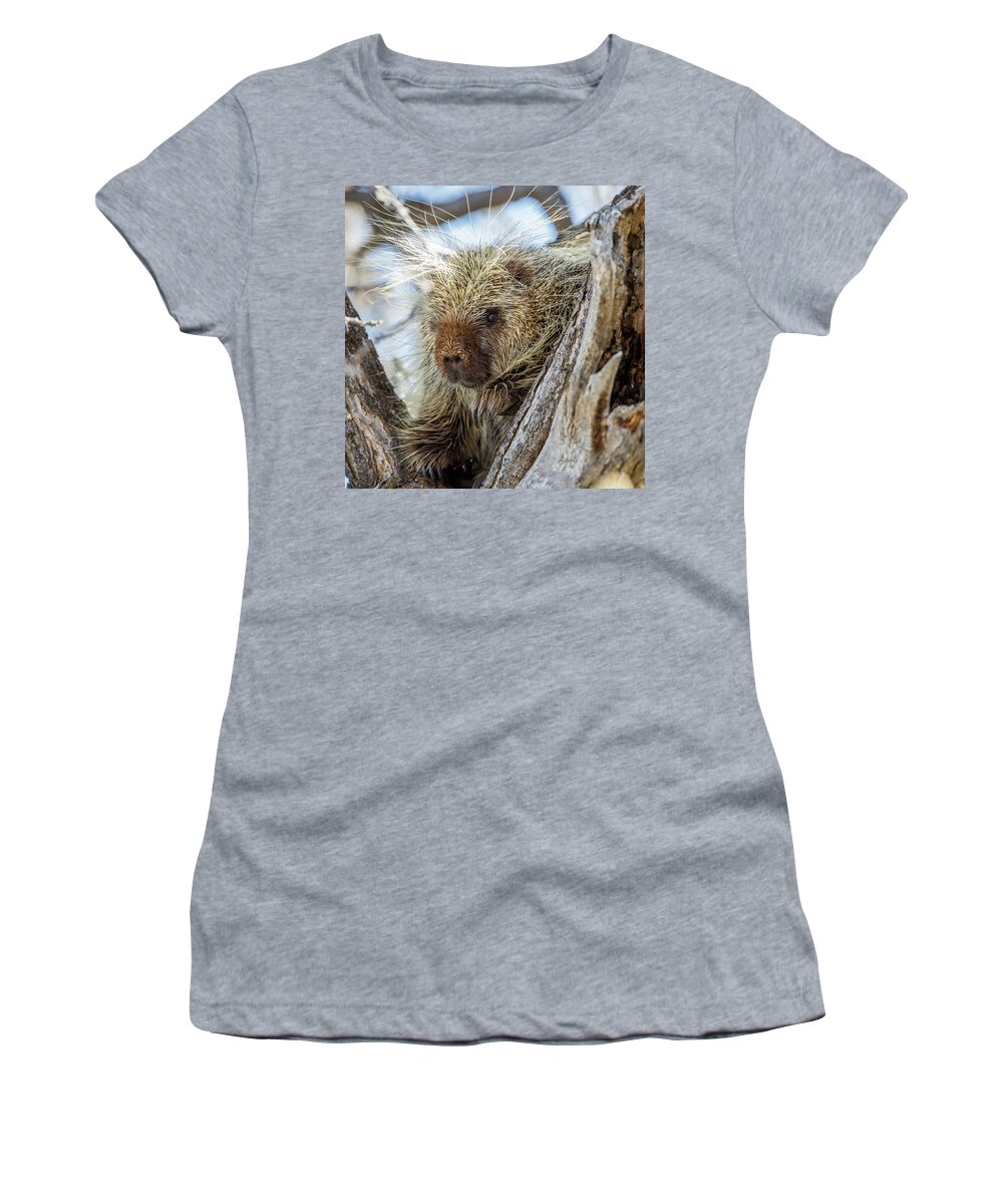 Porcupine Women's T-Shirt featuring the photograph Soul Center by Kevin Dietrich