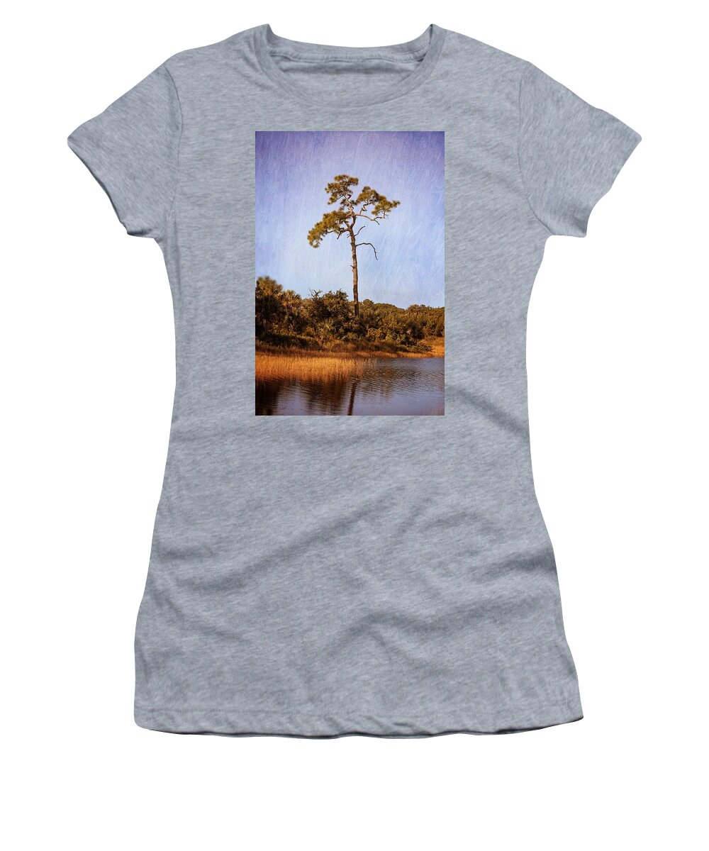 South Wetlands Preserve Women's T-Shirt featuring the photograph South Wetlands Preserve by Kim Hojnacki