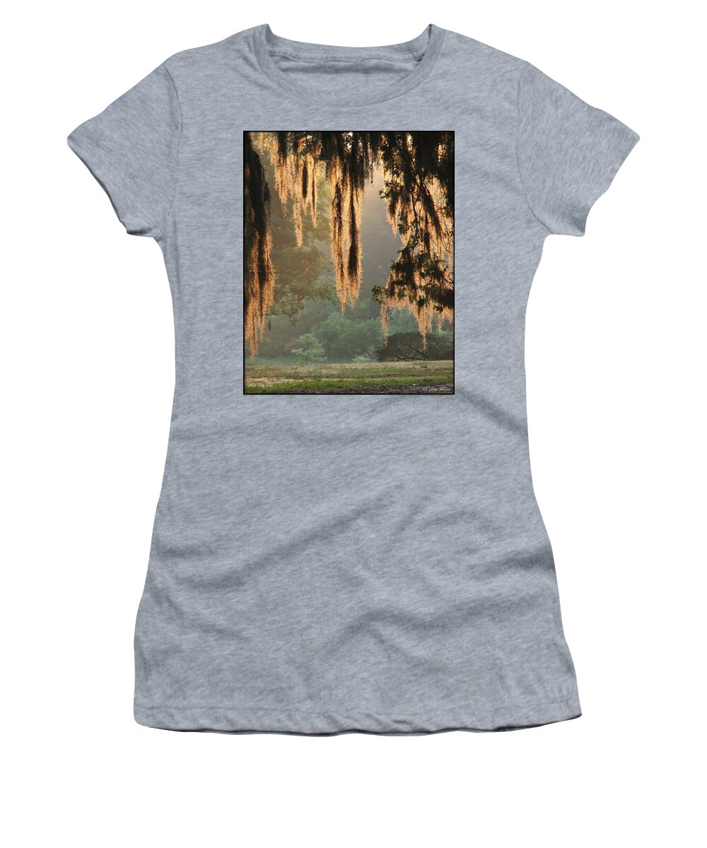 Spanish Moss Women's T-Shirt featuring the photograph Spanish Moss in the Morning by Robert Meanor