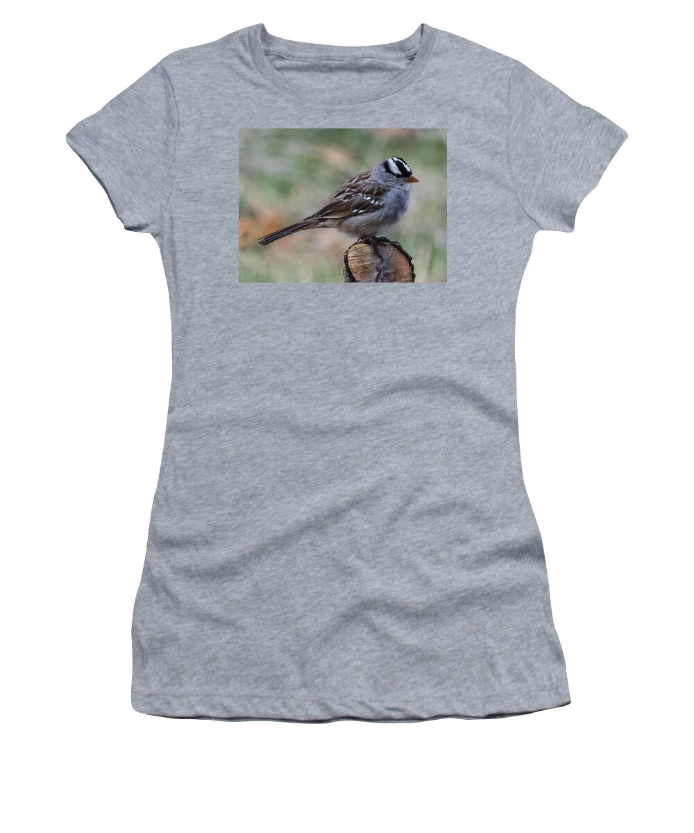 Jan Holden Women's T-Shirt featuring the photograph Sparrow   by Holden The Moment