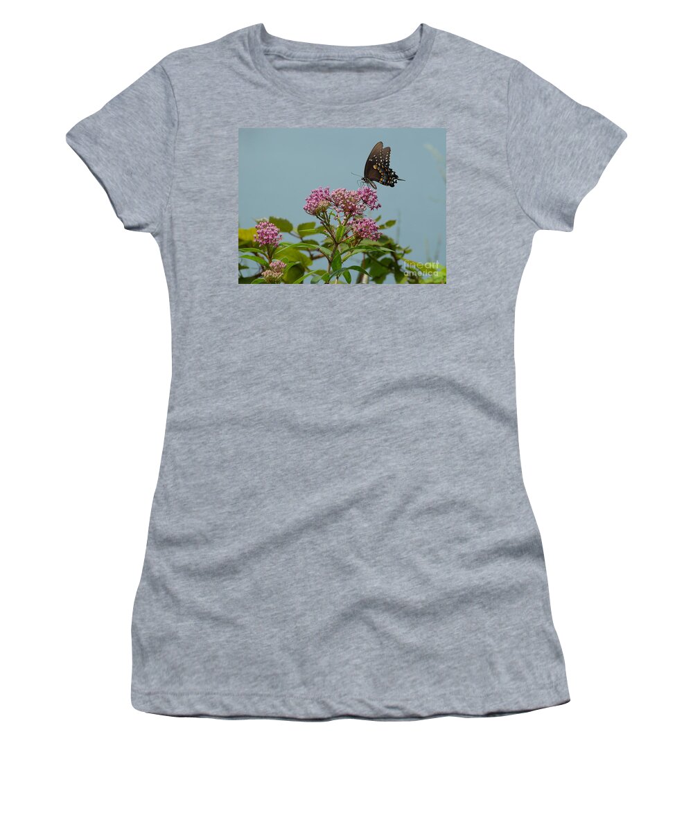 Spicebush Women's T-Shirt featuring the photograph Spicebush Butterfly by Donald C Morgan