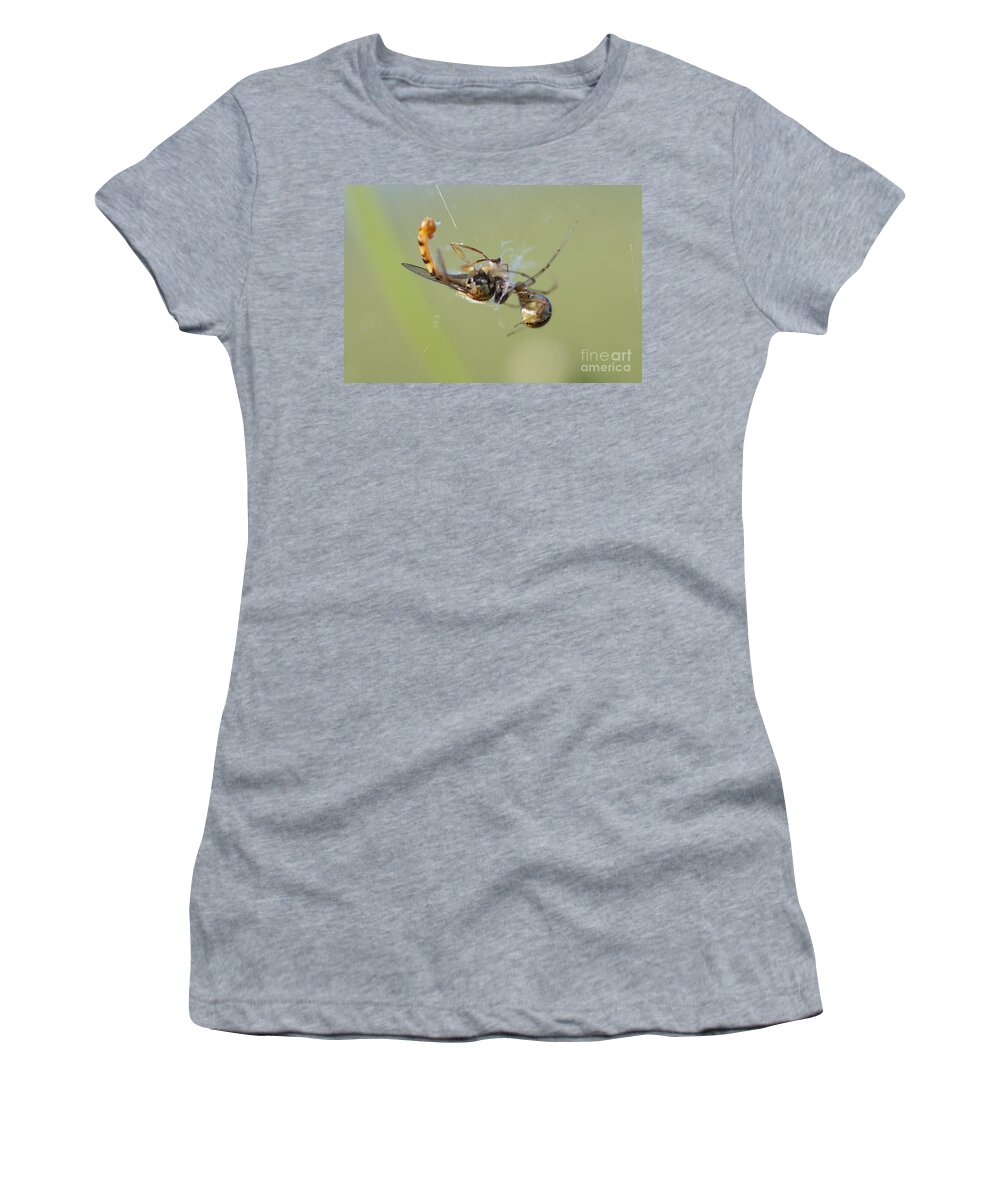 Closeup Women's T-Shirt featuring the photograph Spider and its prey by Michal Boubin