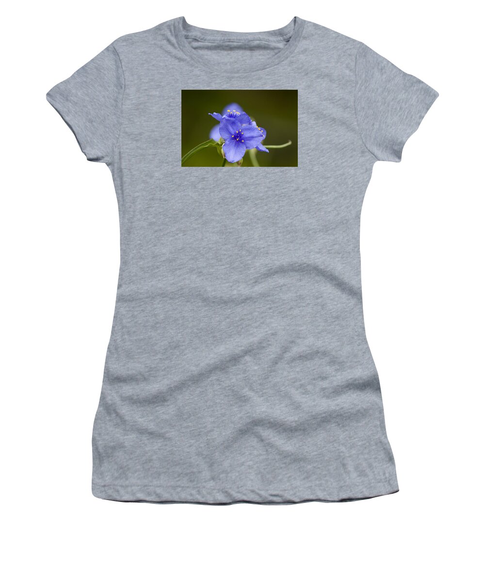Flowers Women's T-Shirt featuring the photograph Spiderwort by Robert Potts