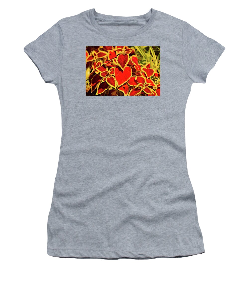 Flowers Women's T-Shirt featuring the photograph Spiraea by Richard Denyer