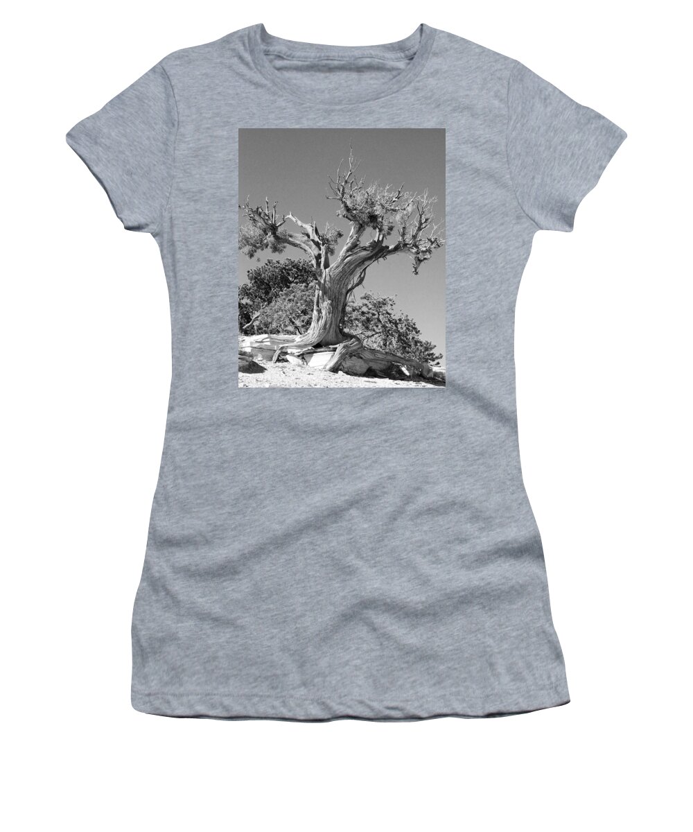 Abstract Women's T-Shirt featuring the photograph Spirit Tree by Maggy Marsh