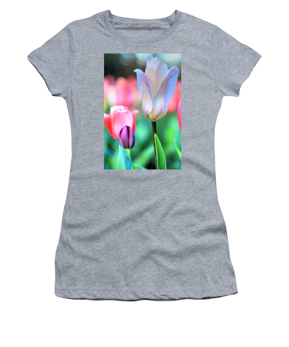 Tulips Women's T-Shirt featuring the photograph Spring Blooms II by Carol Montoya