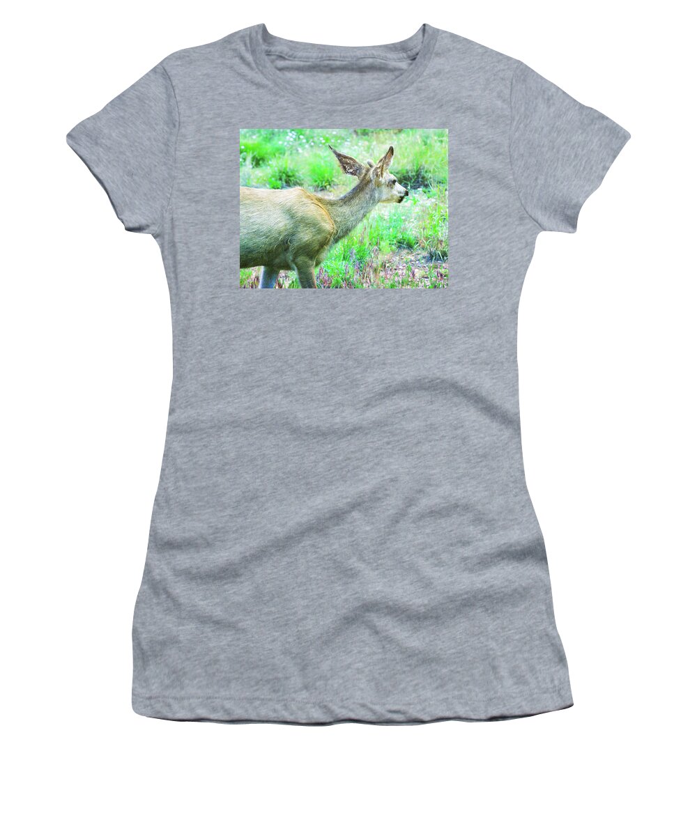 Animal Women's T-Shirt featuring the photograph Spring Deer by Natalie Rotman Cote