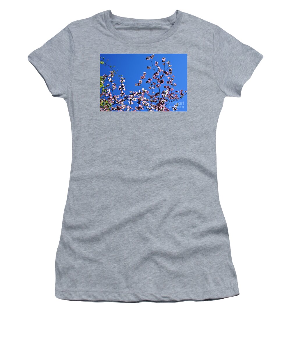 Springtime Women's T-Shirt featuring the photograph Spring in Louisville by Merle Grenz