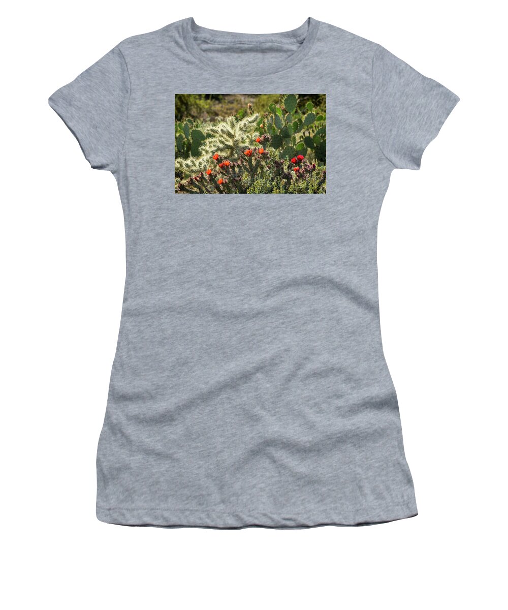 Cholla Cactus Women's T-Shirt featuring the photograph Spring in the Sonoran by Saija Lehtonen