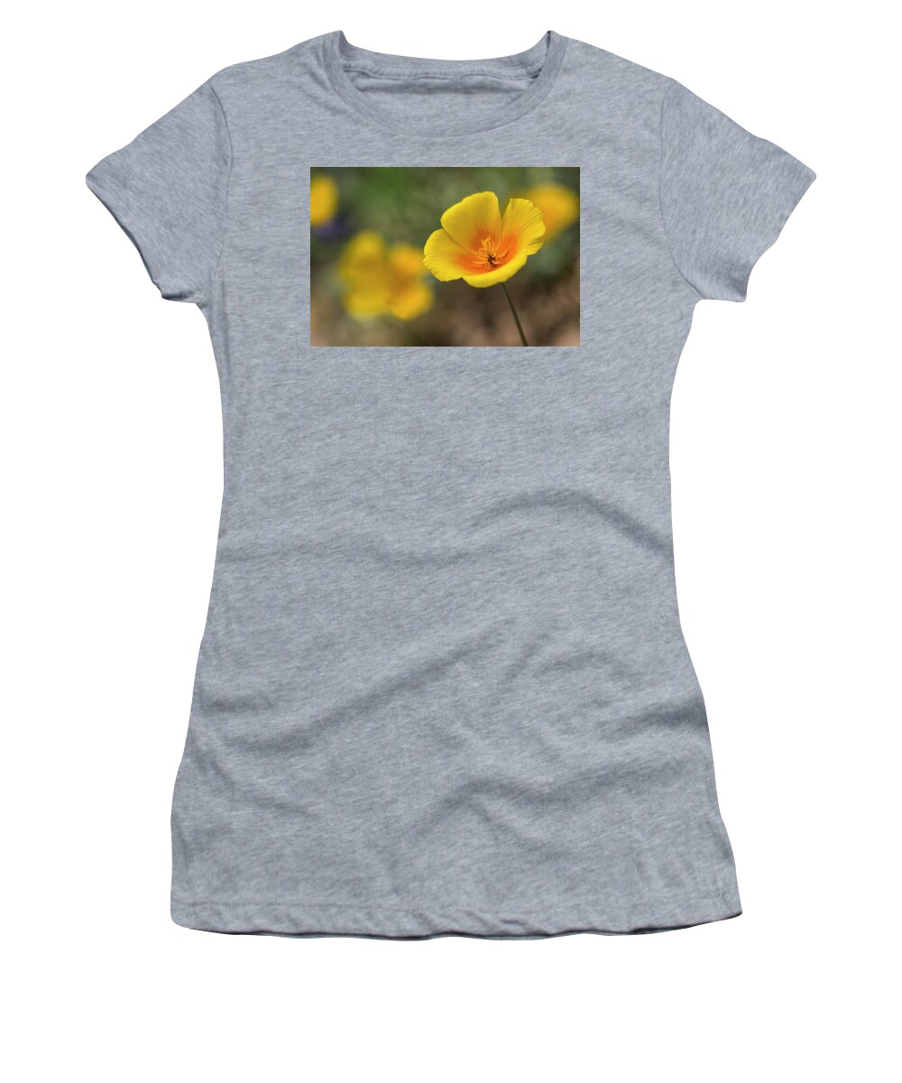 Poppies Women's T-Shirt featuring the photograph Spring is Beckoning by Saija Lehtonen