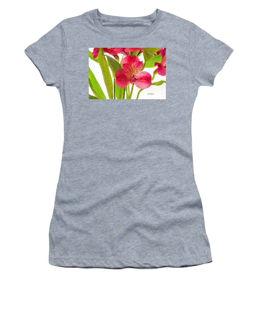 Flower Women's T-Shirt featuring the photograph Spring Rain by Will Wagner