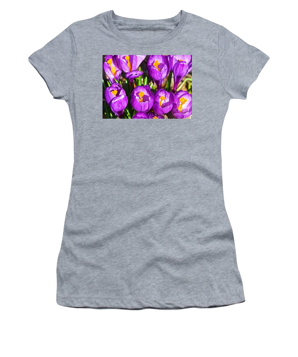 Flowers Women's T-Shirt featuring the photograph Spring Time by Robert Pearson