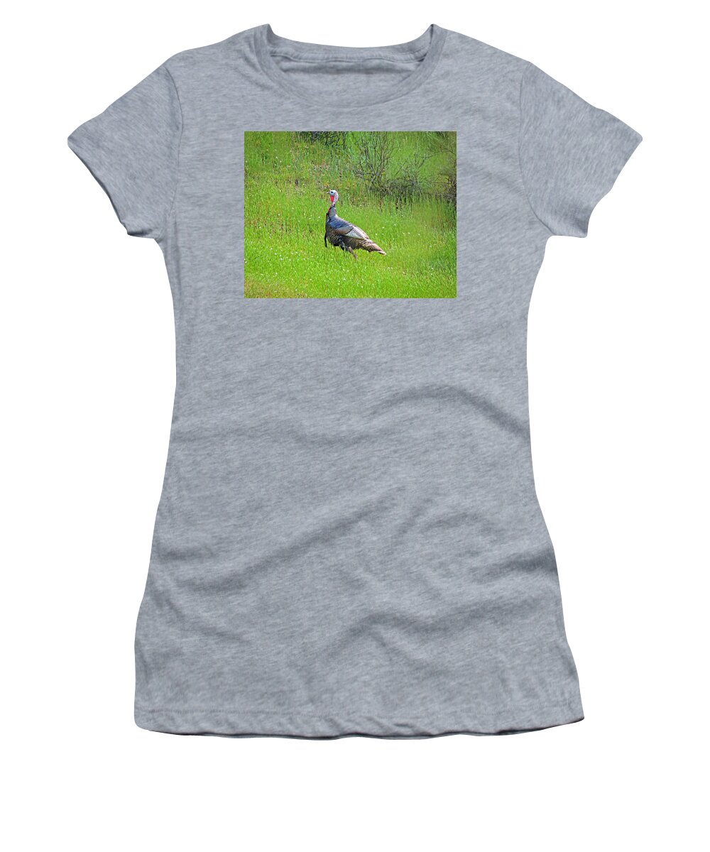 Turkey Women's T-Shirt featuring the photograph Spring Turkey Gobbler by L J Oakes