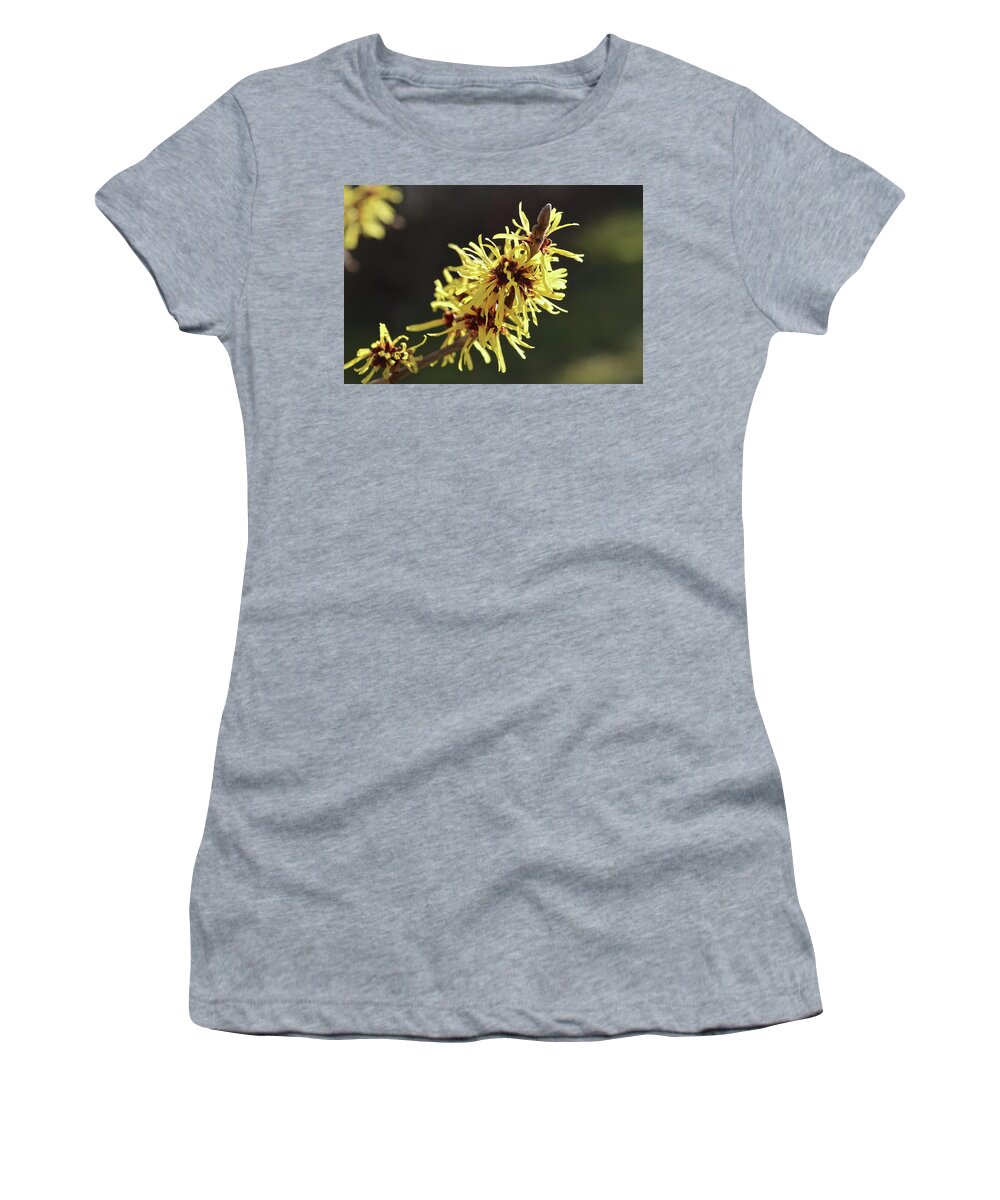 Flower Women's T-Shirt featuring the photograph Spring by Wilhelm Hufnagl