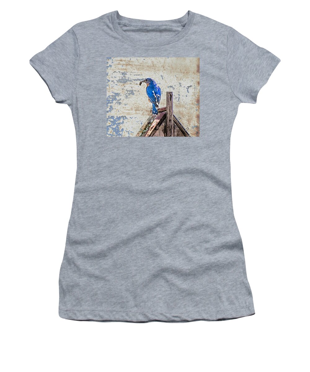 Bluebird Women's T-Shirt featuring the photograph Springtime in North Carolina, Brunch by Cynthia Wolfe