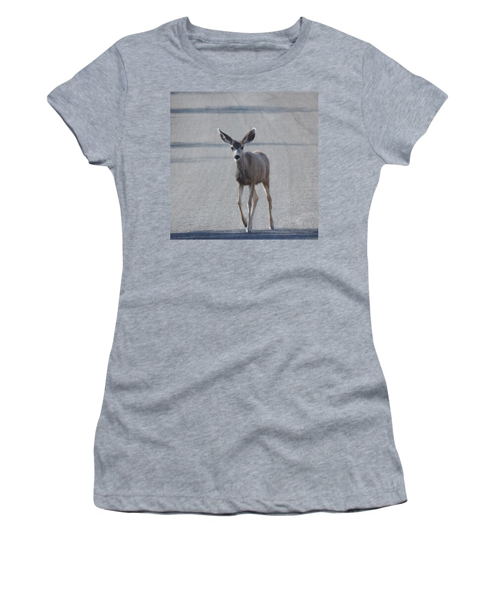 Single Women's T-Shirt featuring the photograph Springtime Mule Deer by Bill Tomsa