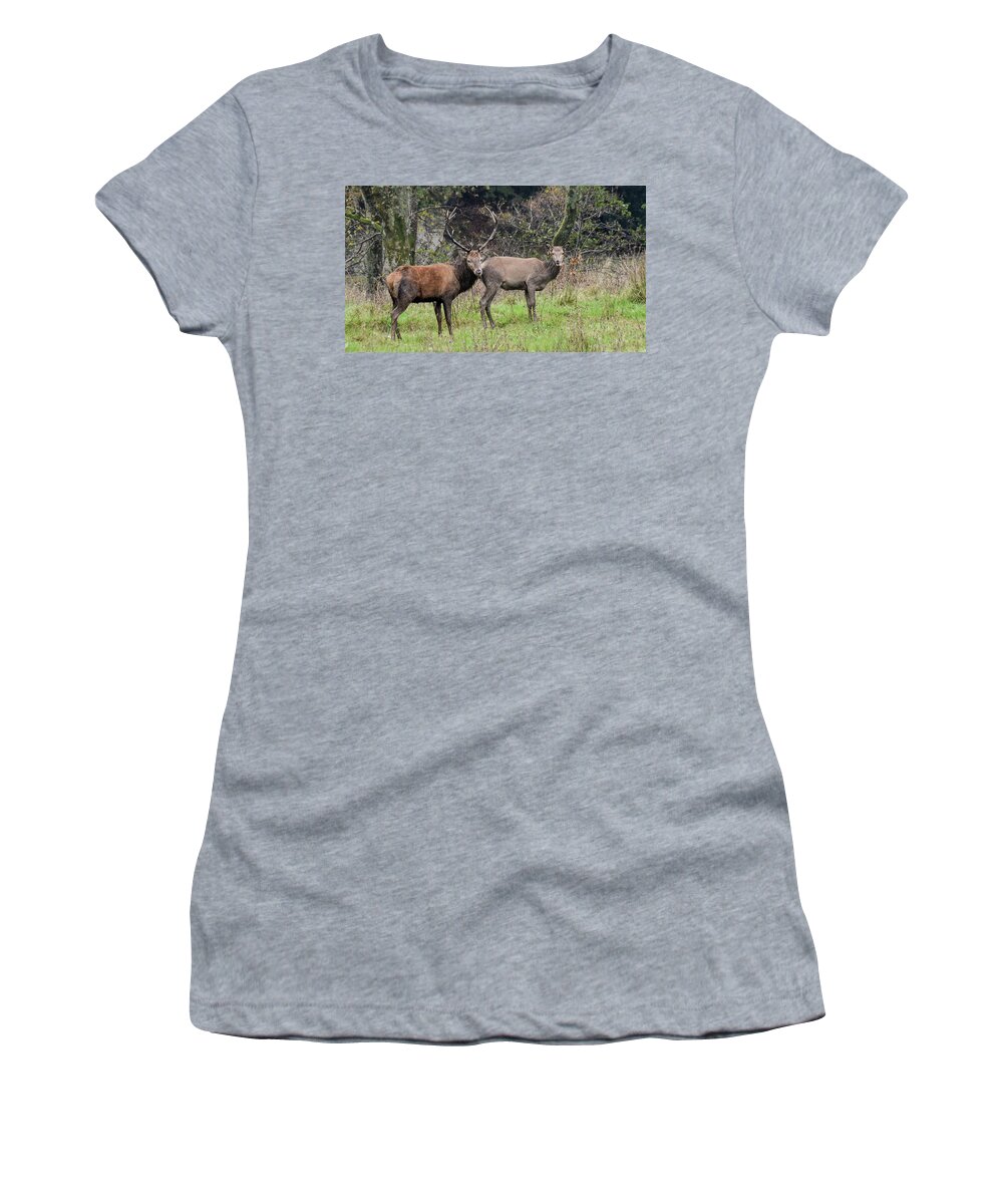 Stag Women's T-Shirt featuring the photograph Stag and Doe by Joe Ormonde