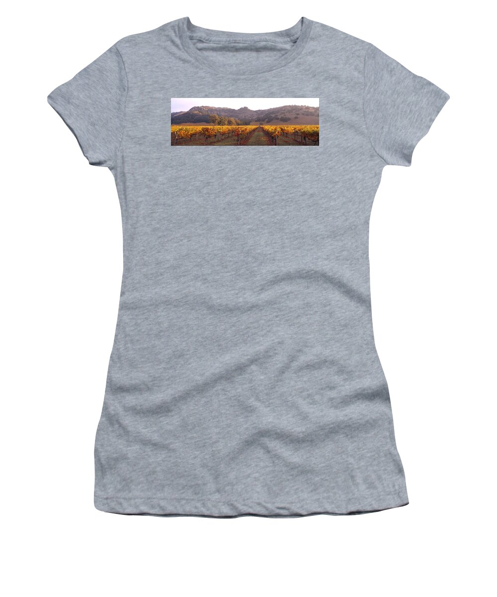 Photography Women's T-Shirt featuring the photograph Stags Leap Wine Cellars Napa by Panoramic Images