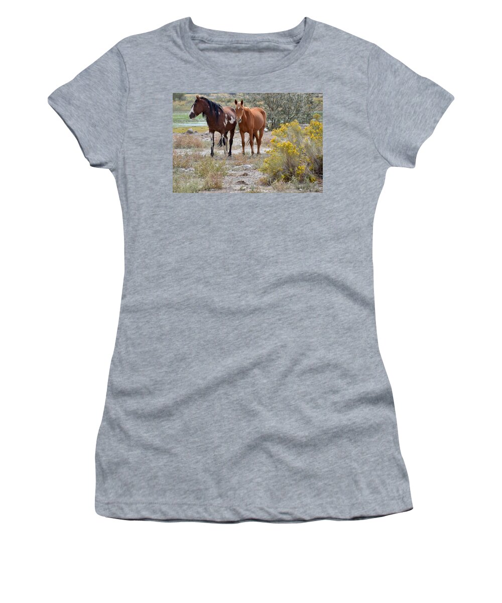 Virginia Range Mustangs Women's T-Shirt featuring the photograph Stallion and mare by Maria Jansson