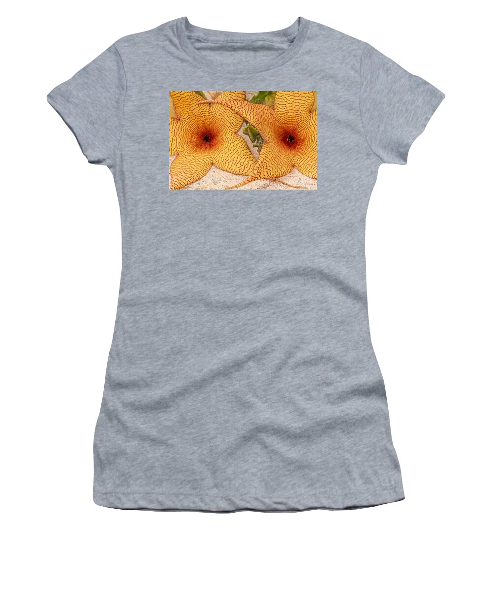 Flower Women's T-Shirt featuring the photograph Star Cactus Flower by Deborah Benoit