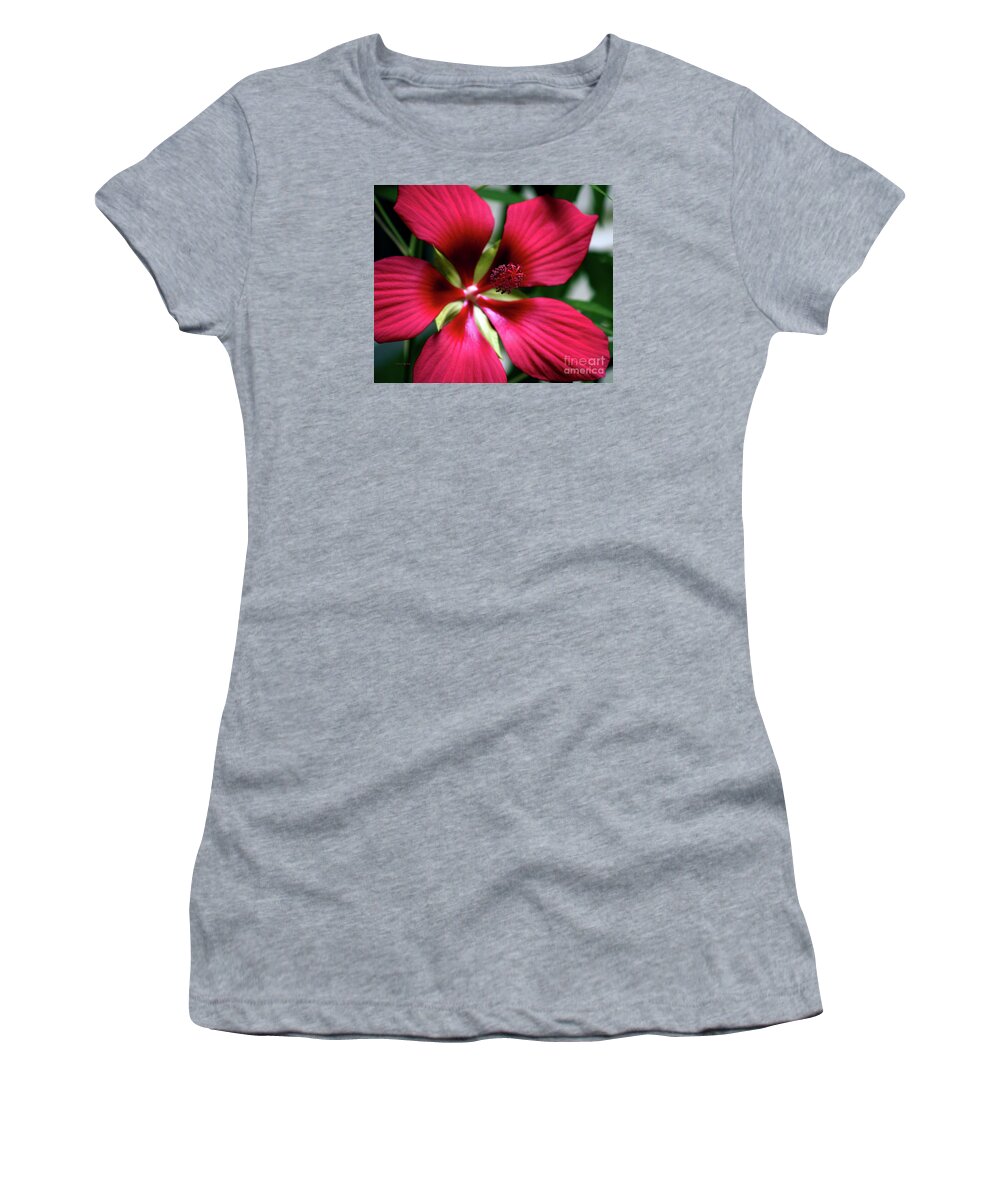 Fine Art Photography Women's T-Shirt featuring the photograph Star of Texas by Patricia Griffin Brett