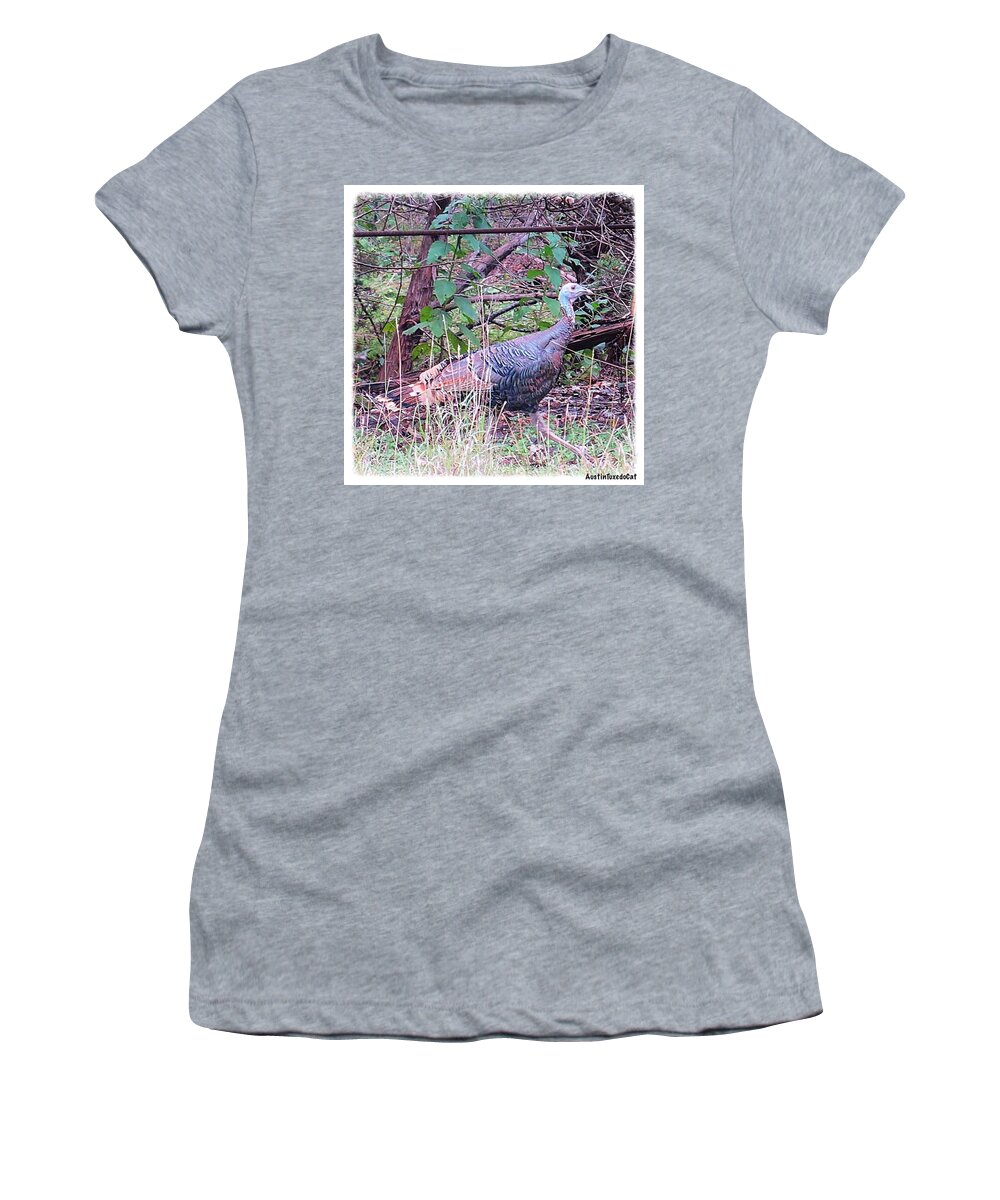 Keepaustinweird Women's T-Shirt featuring the photograph Stay Safe Ms. #turkey! It Is Almost by Austin Tuxedo Cat