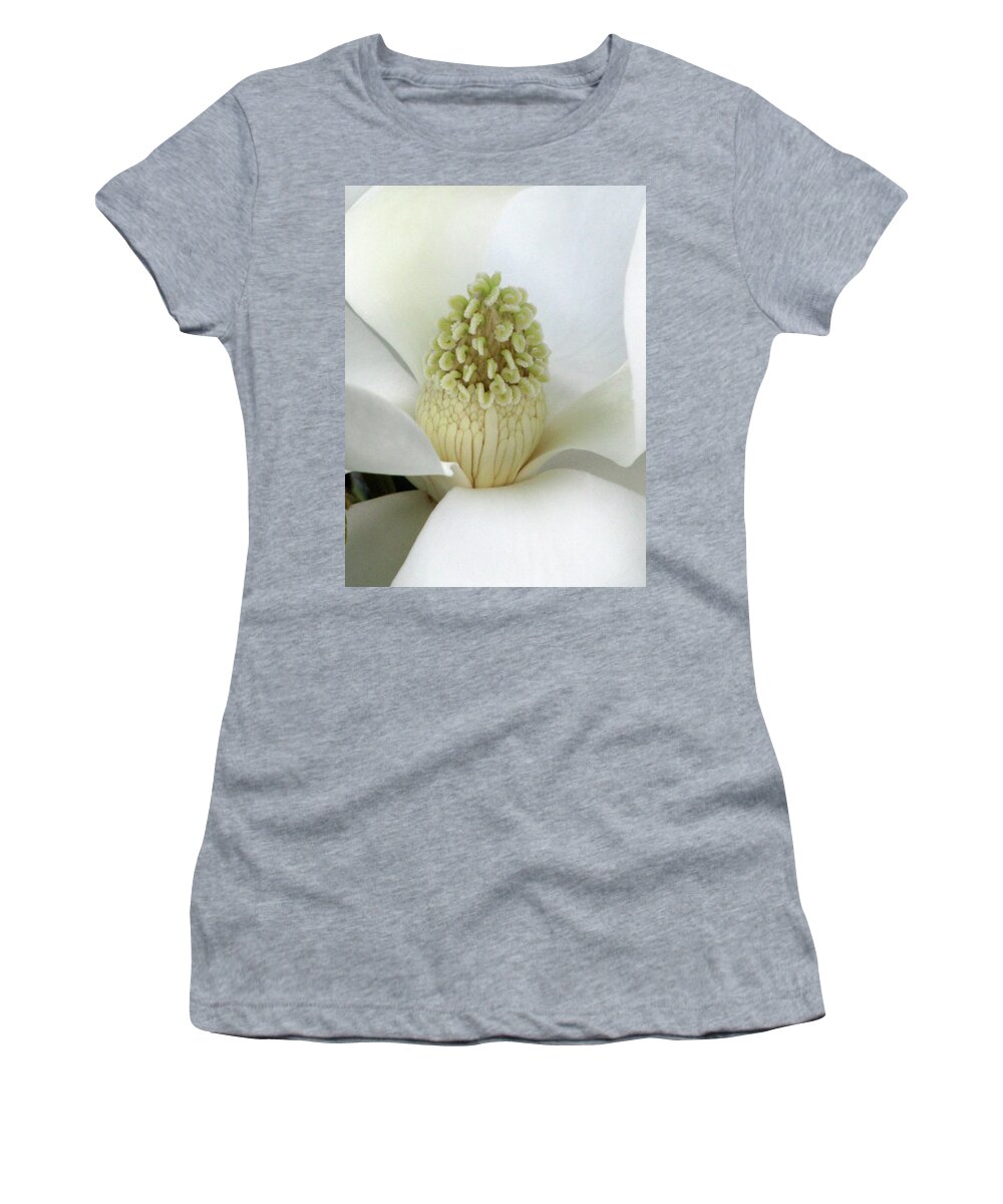 Magnolia Women's T-Shirt featuring the photograph Steel Magnolia 24 by Pamela Critchlow