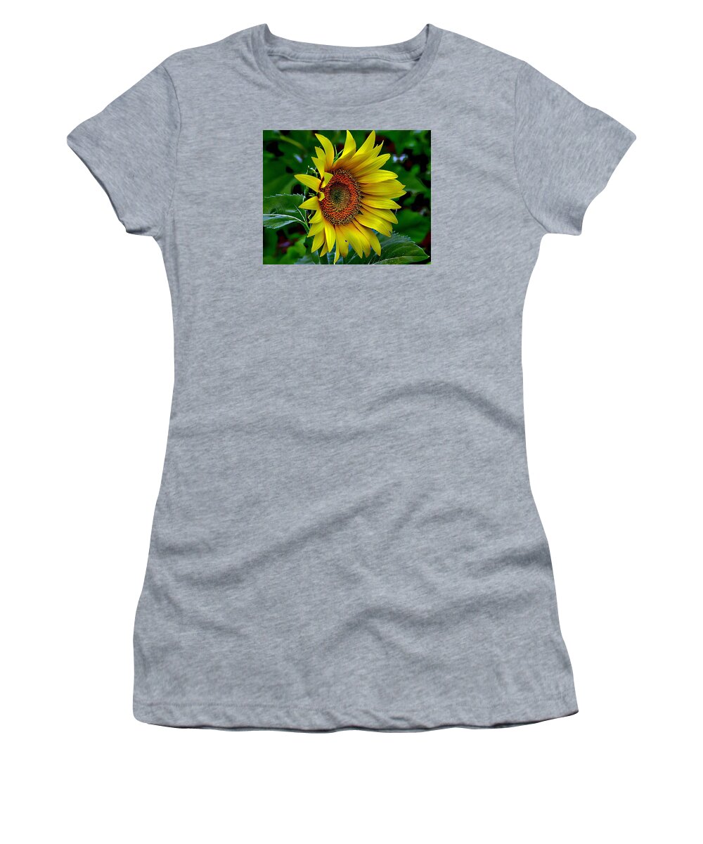 Single Sunflower Women's T-Shirt featuring the photograph Straight Up Sunflower by Karen McKenzie McAdoo