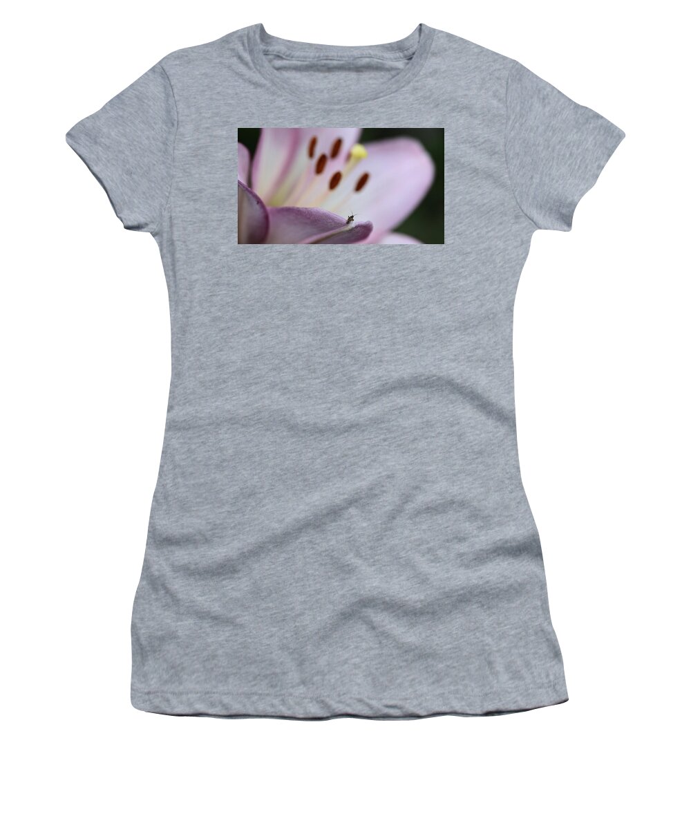 Lily Insect Flower Stamen White Purple On-dark On-black Women's T-Shirt featuring the photograph Stranger in a Strange Land by Ian Sanders
